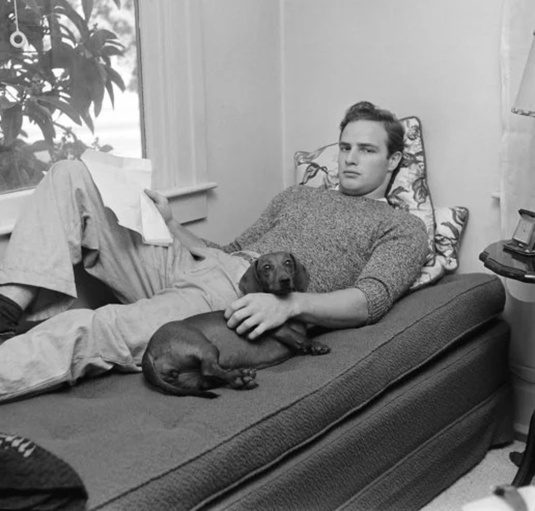 A man lies on a daybed near a window, holding a piece of paper and resting his hand on a dachshund dog lying beside him. The room appears calm and comfortably furnished.