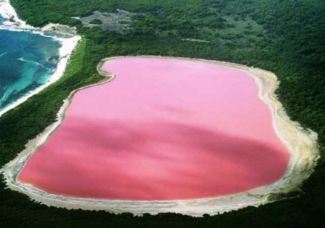 Aerial view of a bright pink lake surrounded by green vegetation, with the ocean visible on the left side of the image. The lake's unusual pink color creates a striking contrast with the natural landscape.