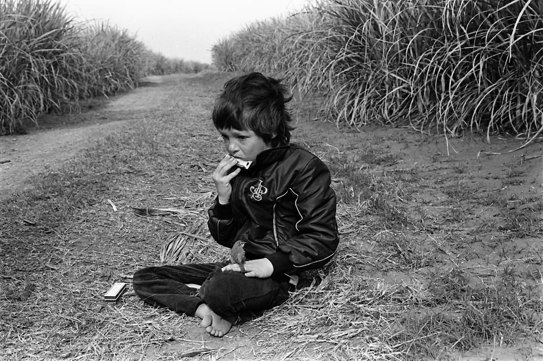 A barefoot child sits cross-legged on a dirt path between tall grassy plants, playing a harmonica. The child wears a jacket and appears to be lost in thought.
