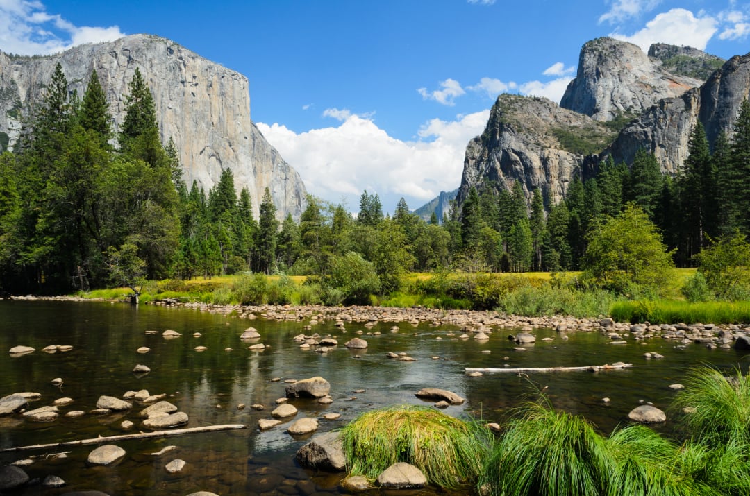 A scenic view of Yosemite Valley with granite cliffs, dense green pine trees, a clear blue sky, and a river flowing through a rocky foreground in Yosemite National Park.