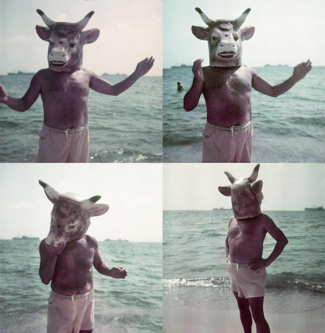 Four photos show a person standing by the sea, wearing swim trunks and a large cow mask, striking various playful poses with arms raised, resting on hips, or gesturing to the camera.