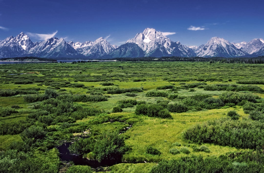 Lush green meadows stretch out toward rugged snow-capped mountains under a clear blue sky, with a small stream winding through the grass in the foreground.