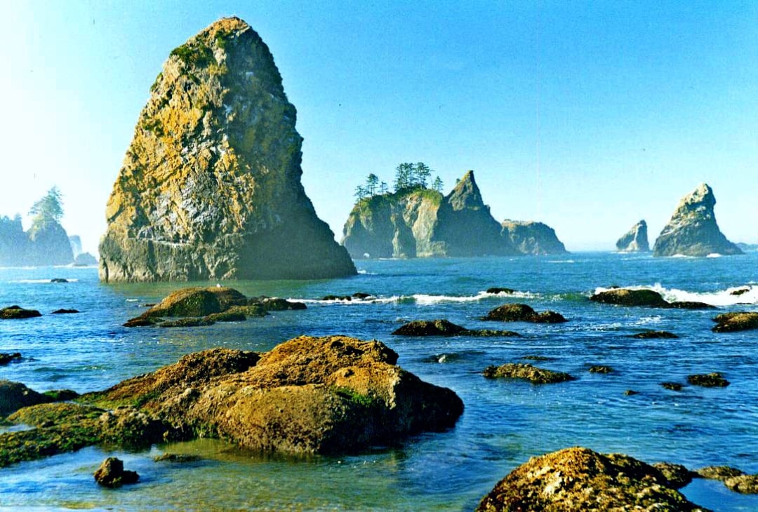 Large, rugged sea stacks rise from the blue water along a rocky shoreline, with scattered rocks in the foreground and trees visible on distant cliffs under a clear sky.