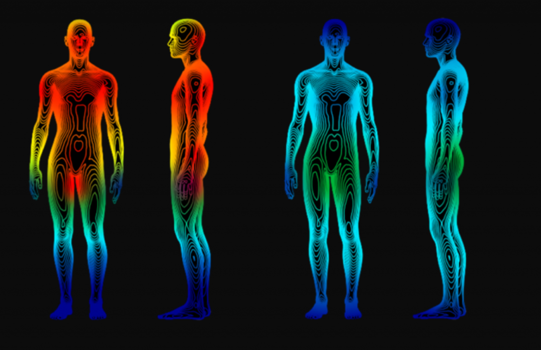 Two human silhouettes shown from front and side views. The left figures are colored in warm tones (red, yellow), the right figures in cool tones (blue, green), all with contour lines indicating regions on the body.