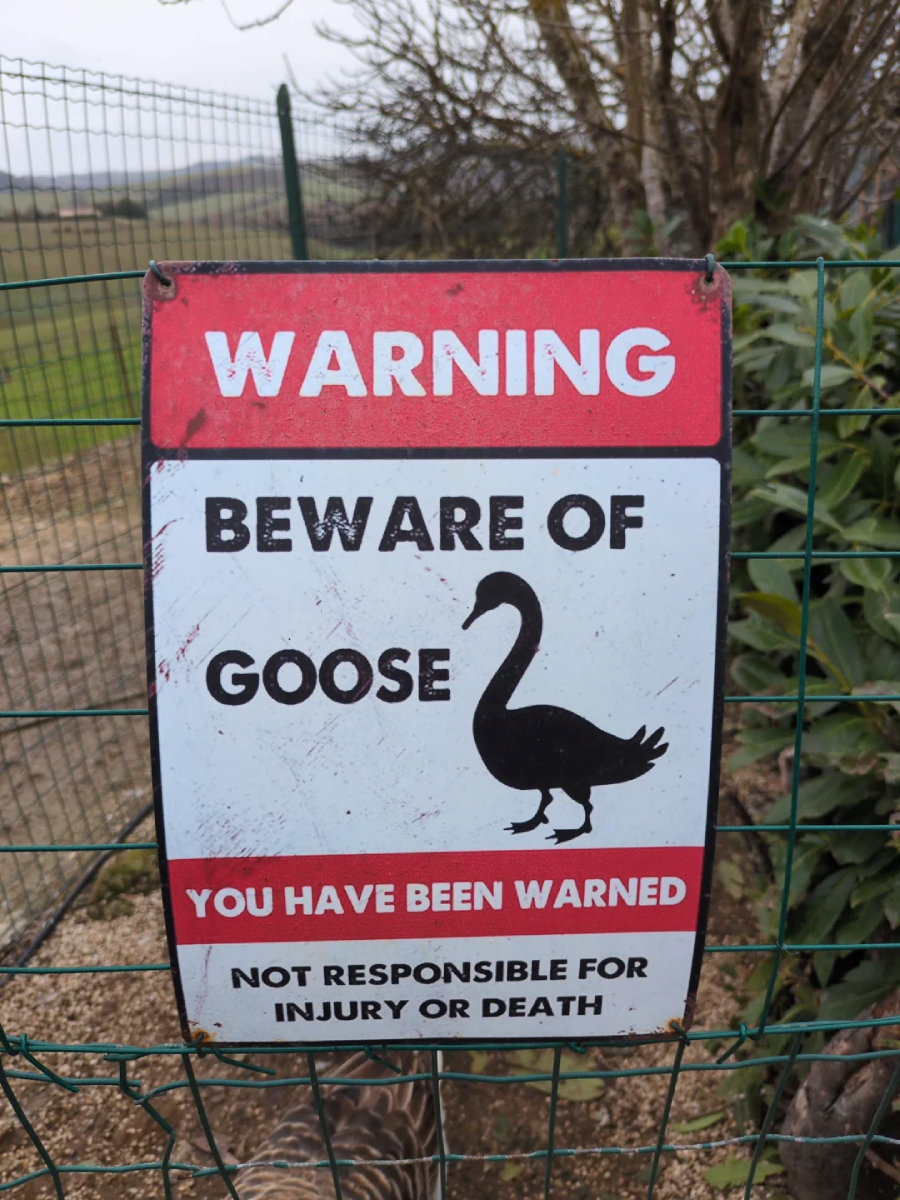 A warning sign on a wire fence reads, "WARNING: BEWARE OF GOOSE. YOU HAVE BEEN WARNED. NOT RESPONSIBLE FOR INJURY OR DEATH," with a black silhouette of a goose. Shrubs and a field are in the background.