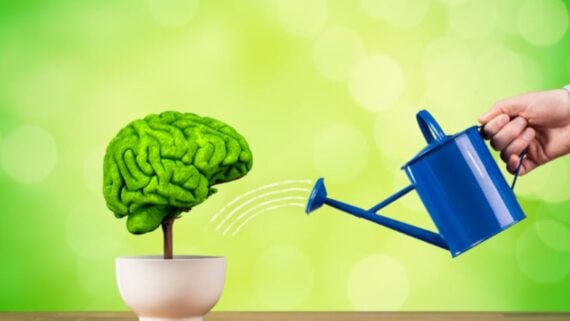 A blue watering can pours water onto a small plant in a white pot, where the foliage is shaped like a green human brain, against a blurred green background.