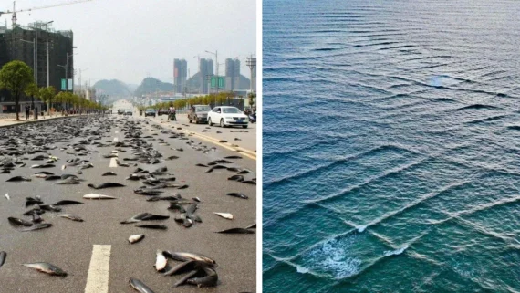 real-world-facts-sound-like-glitches