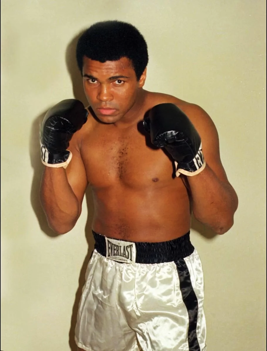 A male boxer stands in a fighting stance, wearing black gloves and white Everlast boxing trunks with a black stripe. He faces forward, fists raised, against a plain light background.