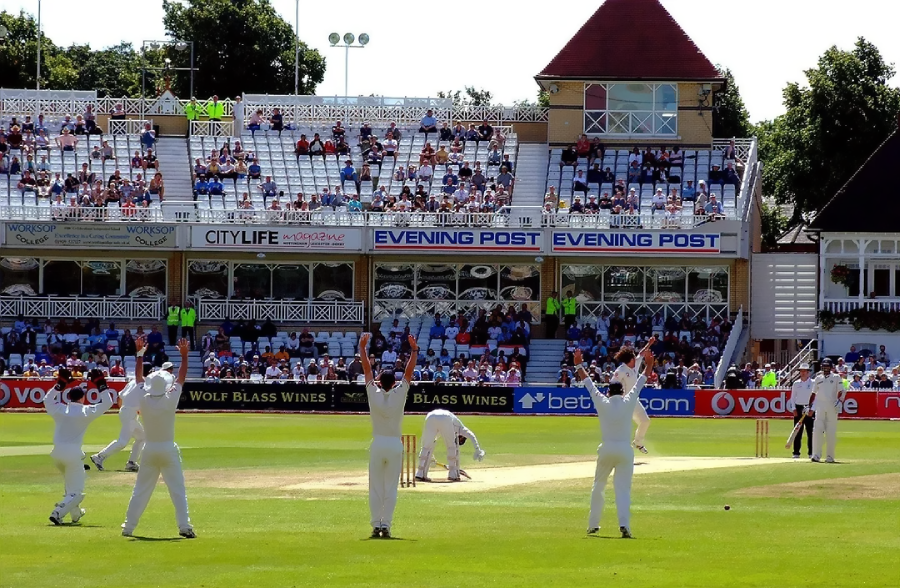 Cricket players in white uniforms appeal to the umpire as a batter stands at the wicket, with a crowd watching from stadium seats and pavilions under a sunny sky.