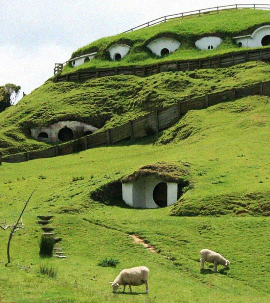 Green hillside with several round Hobbit-style doors built into it, wooden fences along the slope, and two sheep grazing on the grassy foreground.