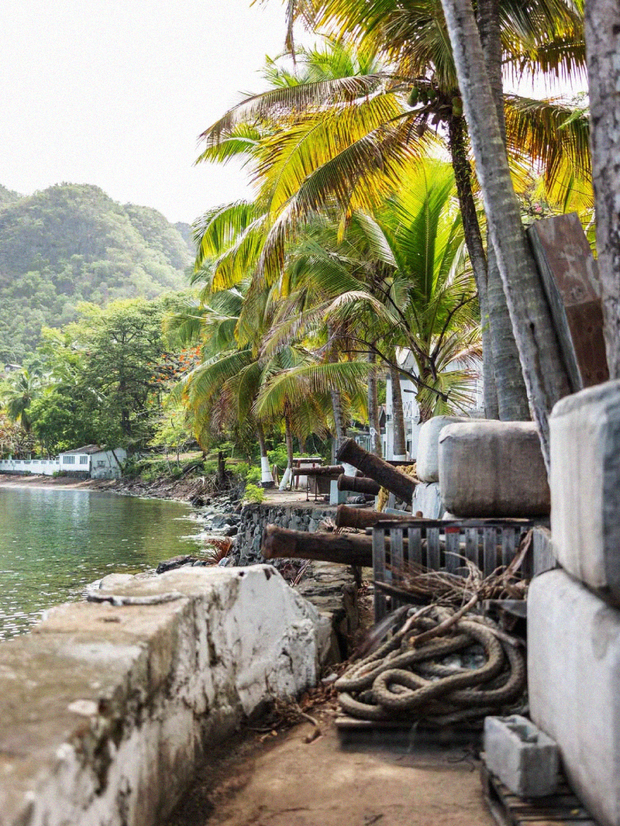 A narrow waterfront path lined with palm trees and large ropes leads past a concrete wall, with calm water and green hills in the background and small white buildings visible among the trees.