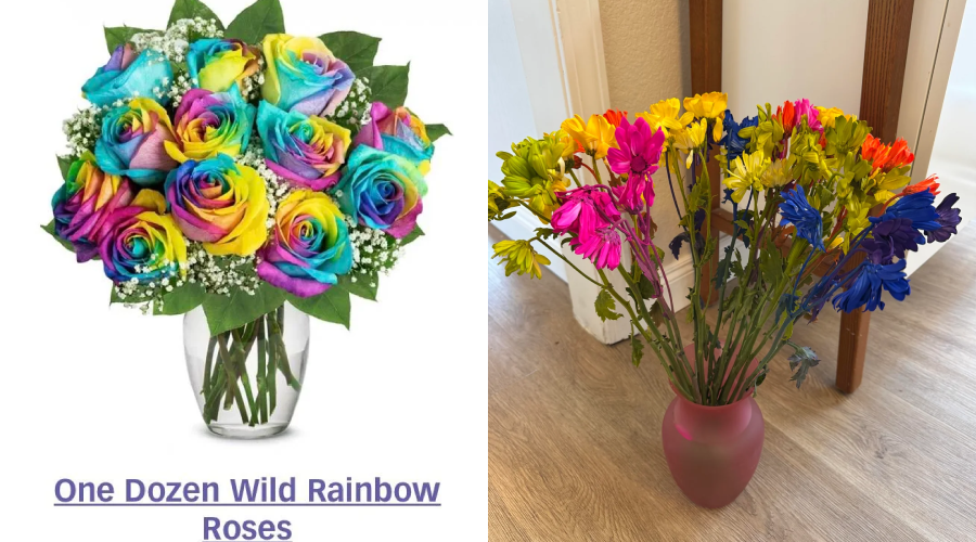 Side-by-side comparison of a vibrant bouquet of rainbow roses in a clear vase (left) and a vase of multi-colored artificial daisies on a wooden floor (right). The left image is labeled "One Dozen Wild Rainbow Roses.