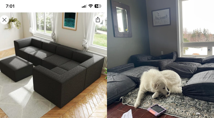Side-by-side images: on the left, a neat modular dark gray sofa in a bright living room; on the right, the same sofa is messy and collapsed, with a large white dog lying on the cushions.