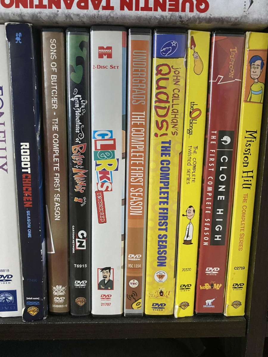 DVD box sets of various animated TV shows, including "Son of Butcher," "Clerks," "Undergrads," "Quads!," "Odd Job Jack," and "Clone High," are lined up on a shelf next to "Mission Hill.