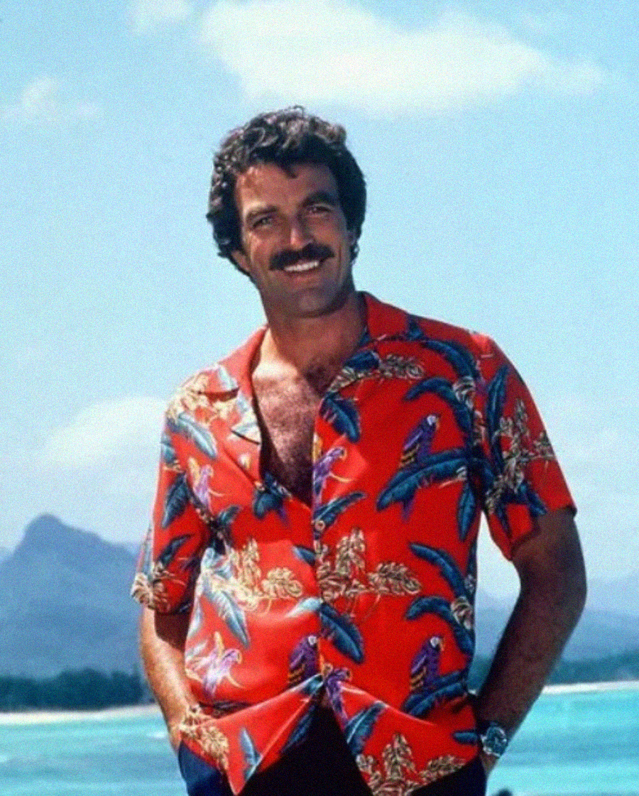 A man with curly hair and a mustache stands outdoors in front of a blue sky and water, wearing a red Hawaiian shirt with a bird and leaf pattern, smiling with his hands in his pockets.