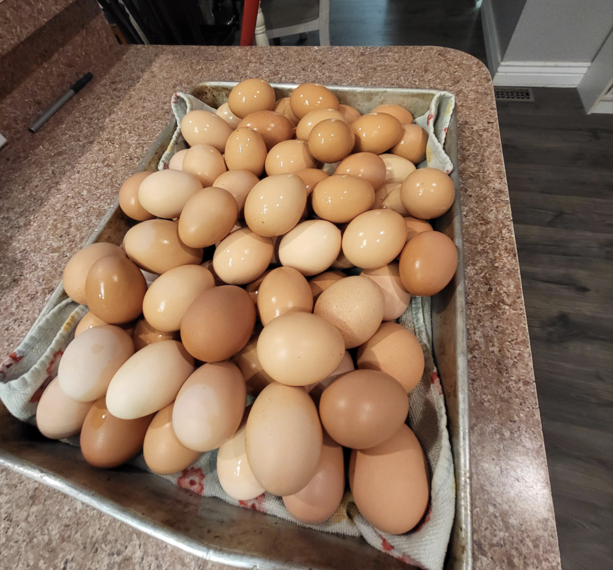 A large tray covered with a towel holds dozens of brown eggs of various shades, resting on a speckled brown kitchen counter.