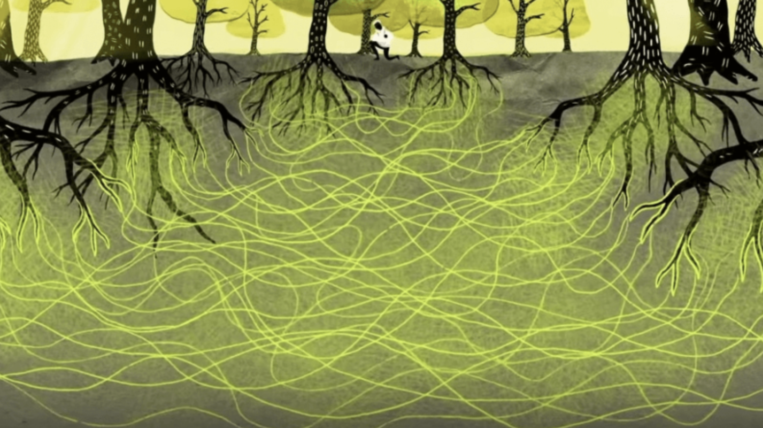 A person stands among trees, with glowing green lines weaving between the roots underground, illustrating an interconnected network beneath the forest floor.