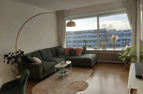 A modern living room with a dark green sectional sofa, pink cushions, a gold arc floor lamp, a small round coffee table, houseplants, and a large window with a view of neighboring buildings and sky.