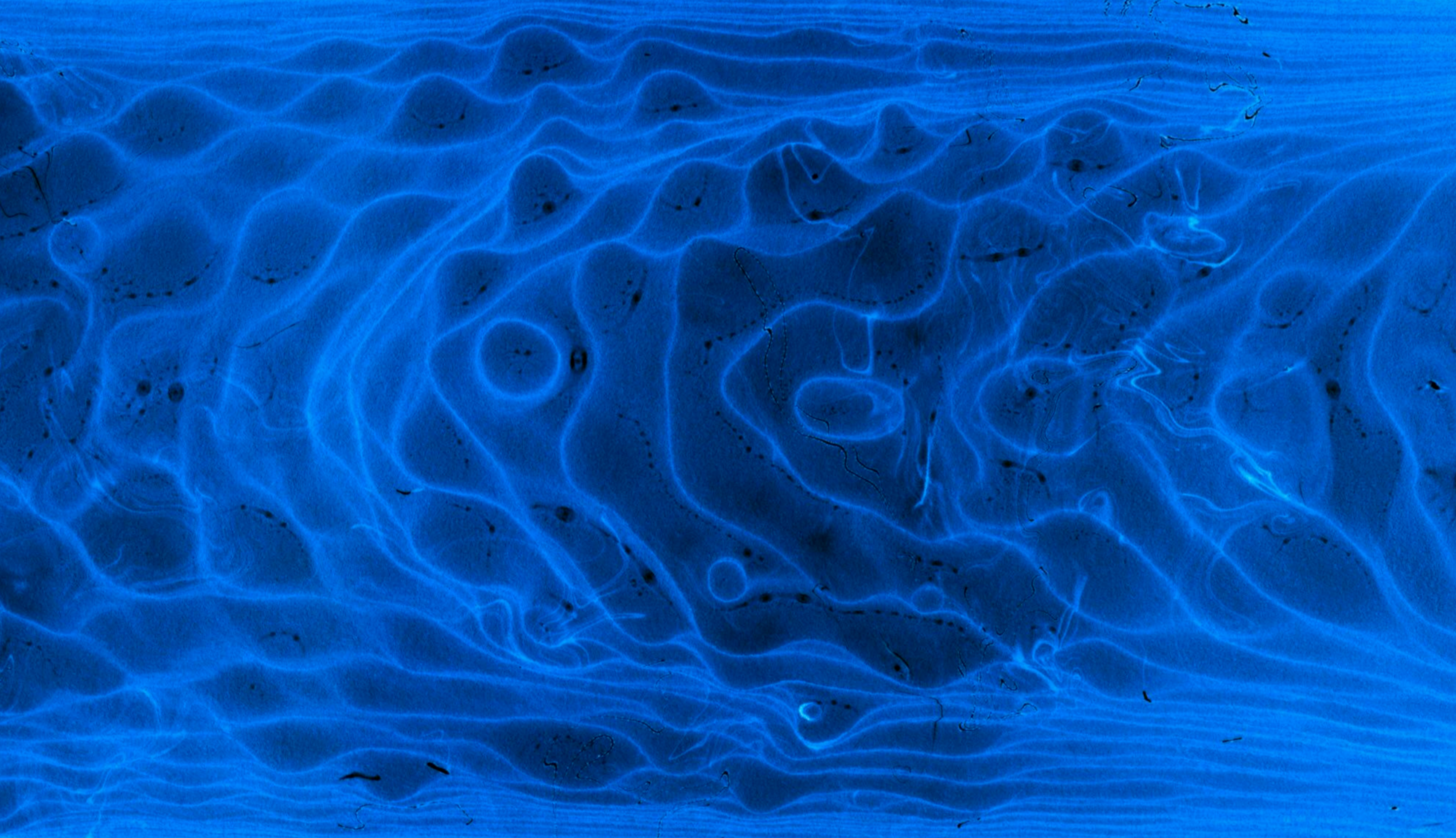 Abstract image showing blue, wavy lines and ripple patterns, resembling light passing through water or sand dunes viewed underwater, with varying shades of blue and dark spots throughout.