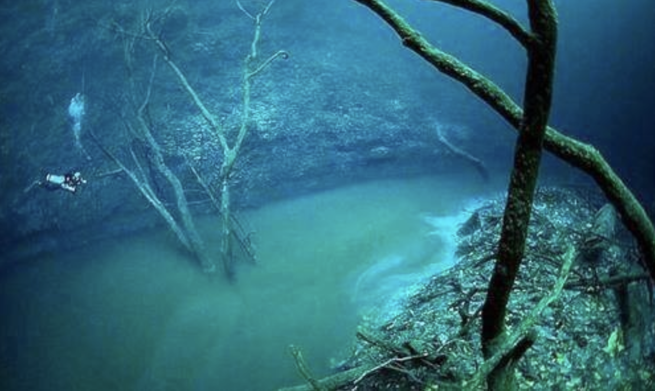 A scuba diver swims near submerged trees in a deep, underwater river with murky green water, surrounded by rocky terrain and branches, creating an otherworldly underwater scene.