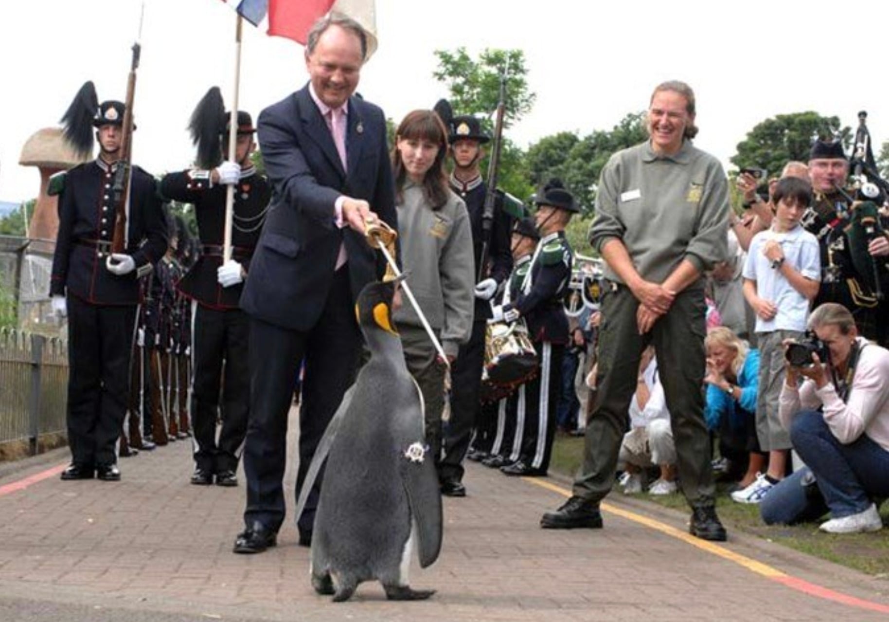 A man in a suit ceremonially touches a king penguin with a sword as uniformed guards, spectators, and children look on outdoors, suggesting the penguin is being honored or knighted.