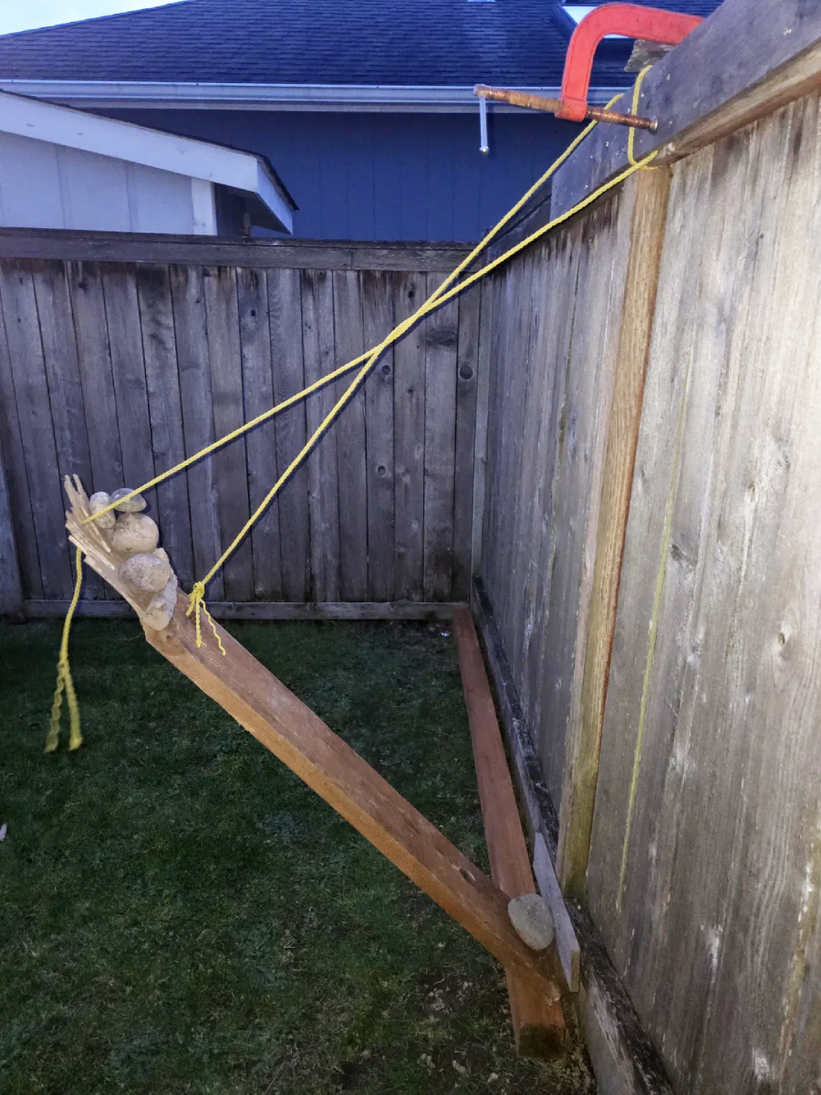A homemade slingshot using a long piece of wood anchored to the ground, secured with rocks and yellow rope, and attached to a wooden fence with a large C-clamp. It is set up in a backyard with grass and a wooden fence.