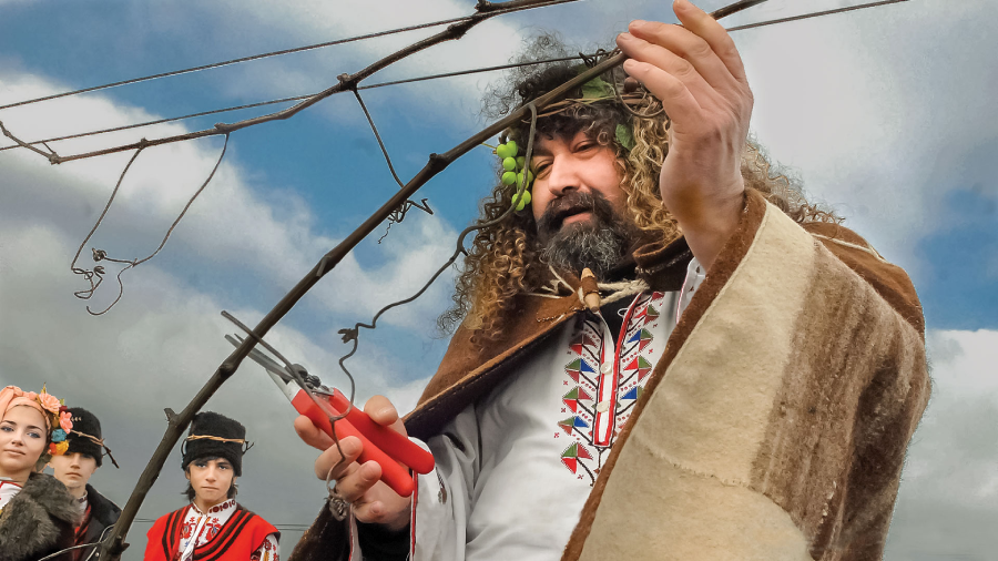 A man with curly hair and a beard, wearing traditional clothing, trims a grapevine with red pruning shears. Three people in similar traditional attire watch him under a cloudy sky.