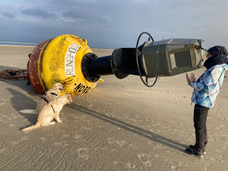 A person stands on a sandy beach facing two dogs that are looking at a large yellow and black buoy lying on its side. The sky is cloudy and the beach appears empty.
