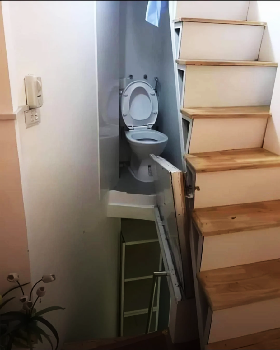A white toilet is squeezed into a narrow space beneath wooden stairs, partially blocked by a stair tread. The area appears cramped and unconventional, with a plant visible in the bottom left corner.