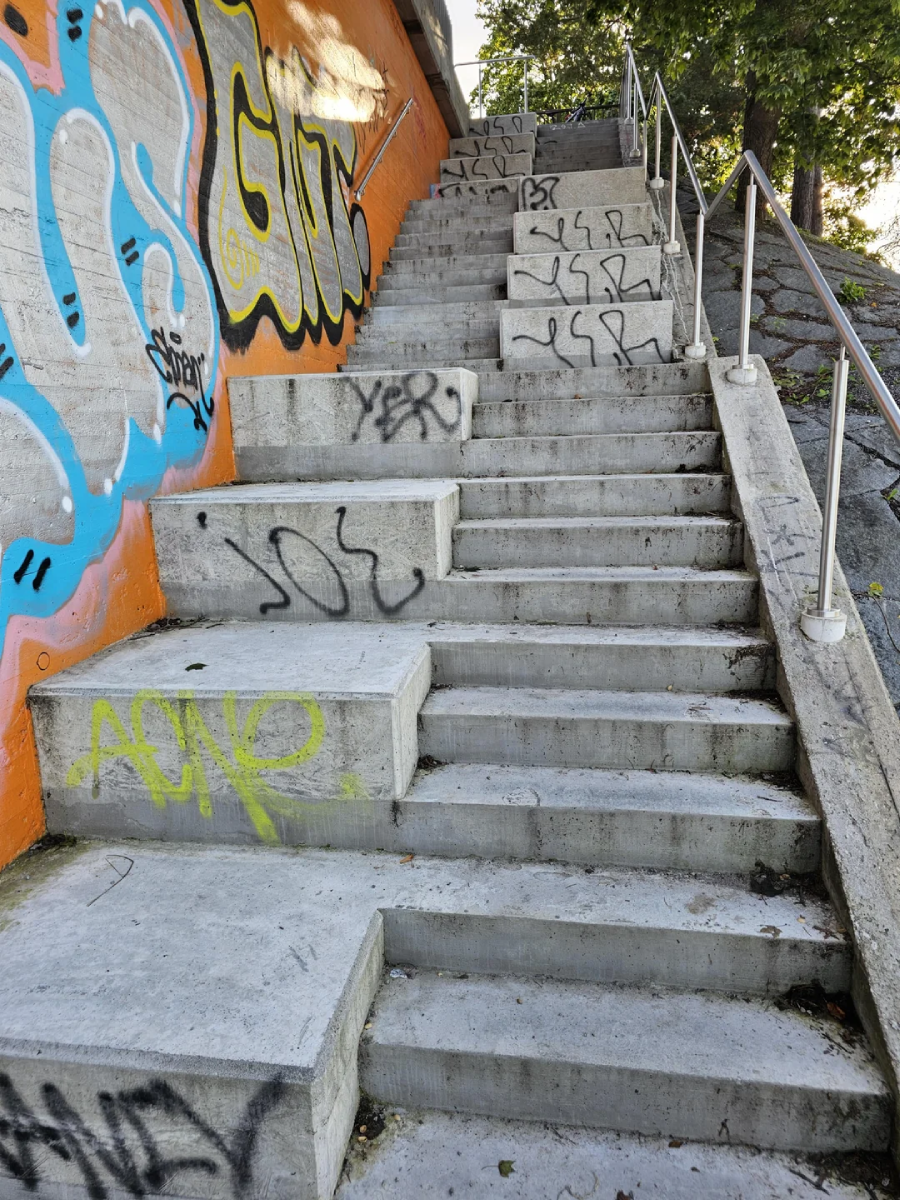 A concrete outdoor stairway with metal handrails is covered in various graffiti and tags. Trees and sunlight are visible at the top, and a stone wall runs alongside the right edge.