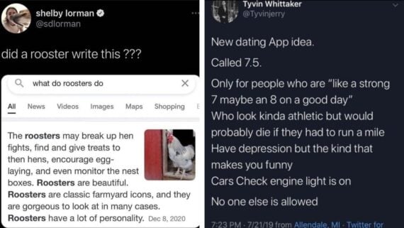 A tweet asks if a rooster wrote a Google search result saying roosters fight, lay eggs, and have personality, alongside another tweet joking about a dating app for "strong 7s" or "8s on a good day" with quirks like depression and engine issues.