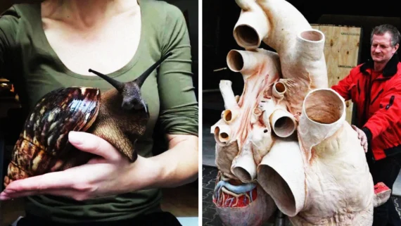 everyday-objects-bigger-than-imagined