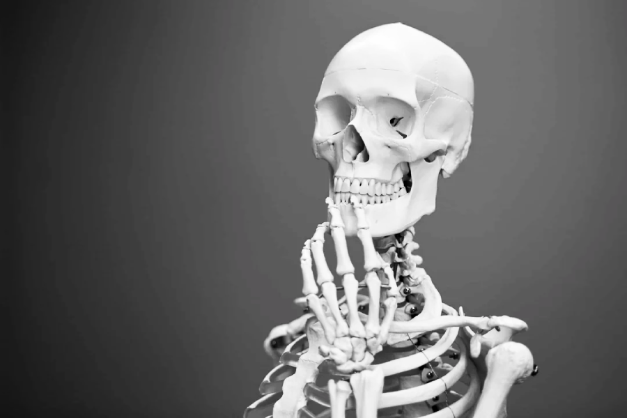 A human skeleton model sits upright with one hand resting thoughtfully on its chin, against a plain gray background.
