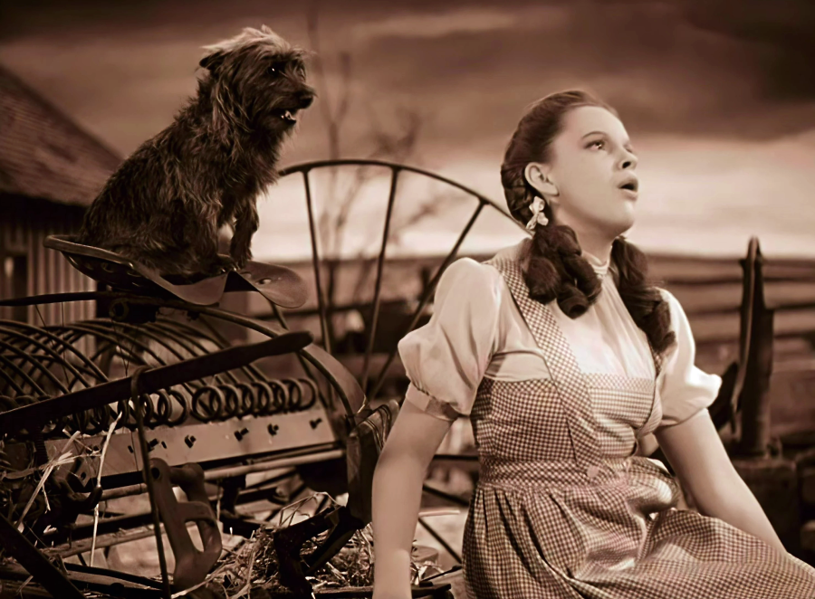 A young girl in a gingham dress sits beside a small dog perched on farm equipment, both gazing upwards with concerned expressions, set against a rustic rural background in sepia tones.