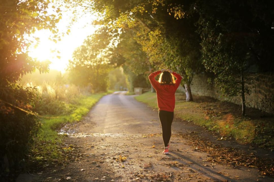 A person wearing a red sweatshirt walks down a tree-lined path at sunset, with sunlight streaming through the leaves and fallen leaves scattered on the ground.