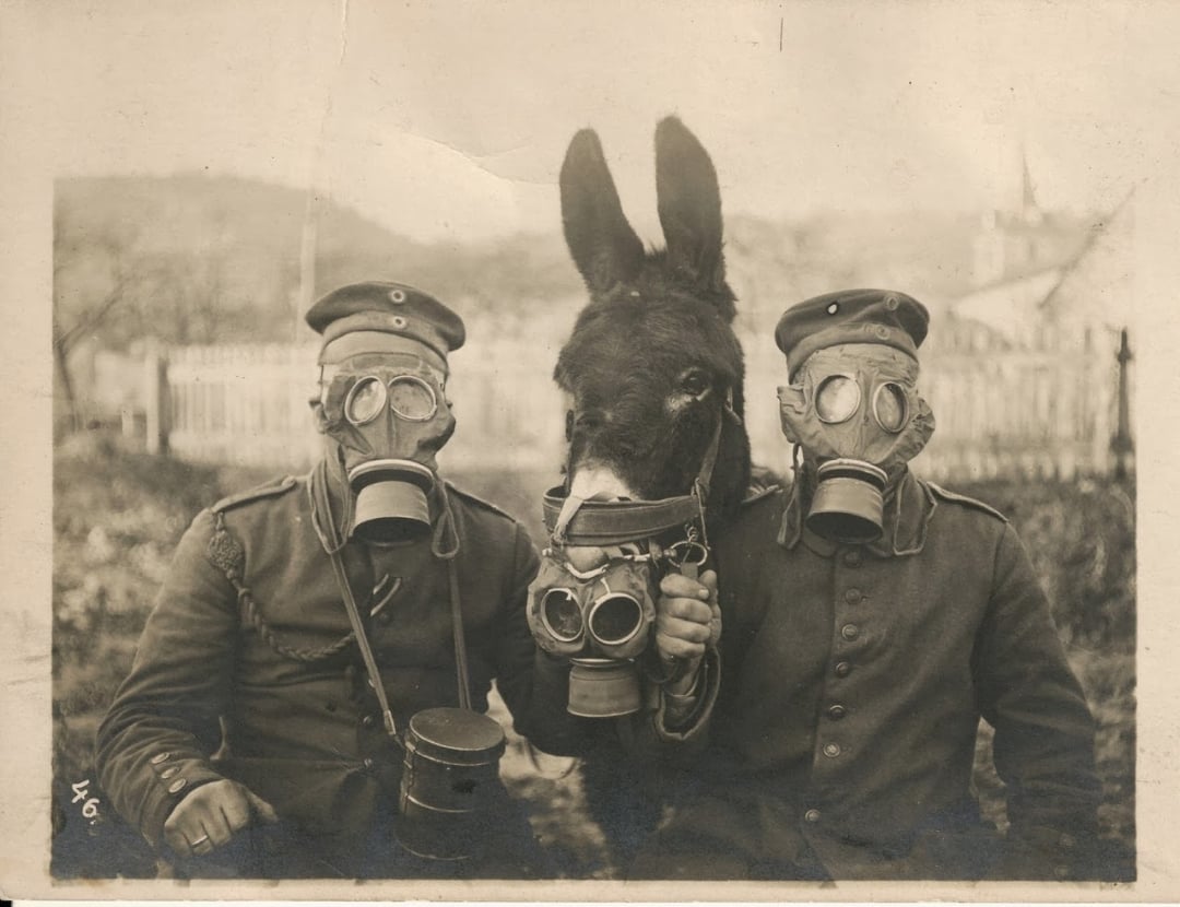 Two soldiers wearing uniforms and gas masks sit beside a donkey, which is also fitted with a gas mask. The background includes a fence, trees, and faint outlines of buildings or a church. The image is in black and white.