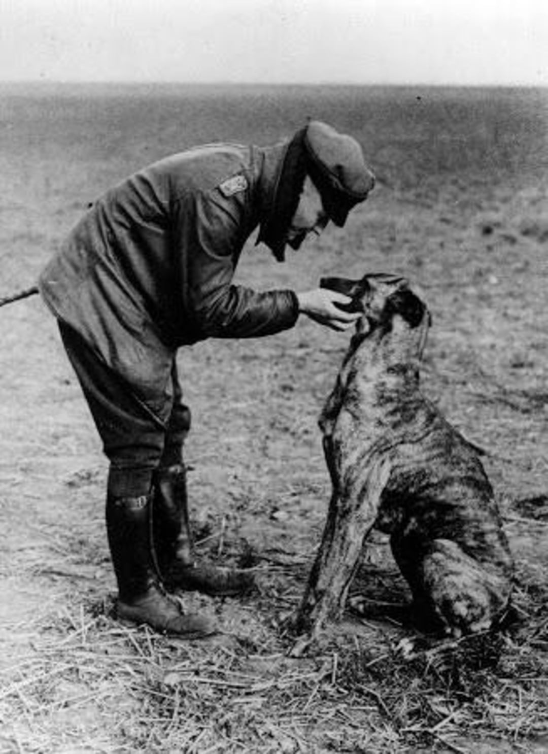 A person in vintage military attire bends down to gently hold the face of a large, seated dog in an open, barren field.