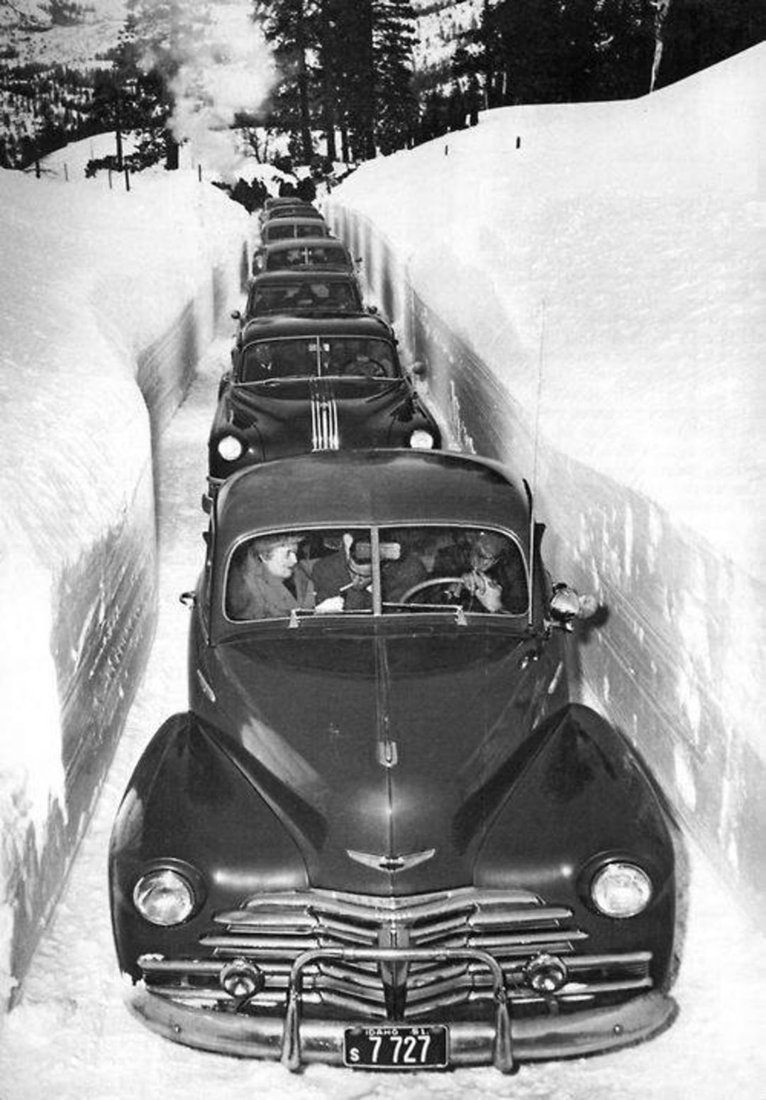 A line of vintage cars drives through a deep, narrow snow-cleared path with high snow walls on both sides, surrounded by trees and mountains in the background.
