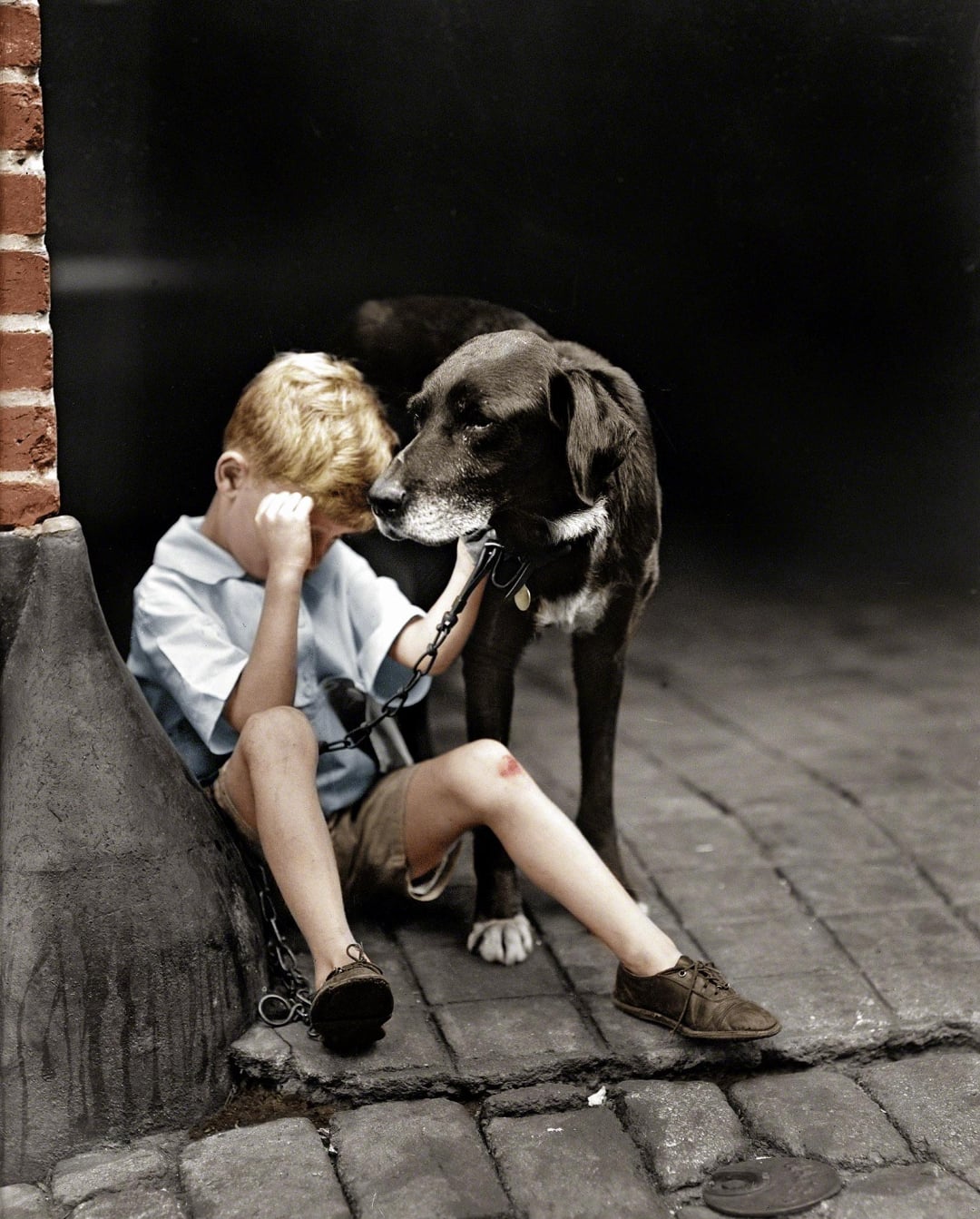 A young boy sits on a cobblestone street next to a brick wall, looking sad with his head down, while a black dog stands beside him, gently nuzzling his face in comfort.