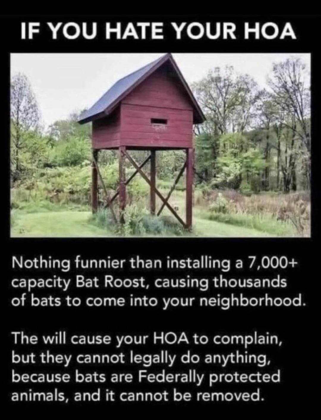 A large red wooden bat house on tall stilts stands in a grassy area. Text jokes about installing a bat roost to annoy a homeowners association, since bats are federally protected and can't be removed.