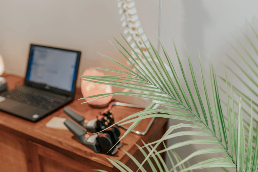 A blurred leafy plant in the foreground with a wooden desk behind it, showing a laptop, a lamp, some devices, and part of a model spine against a light-colored wall.