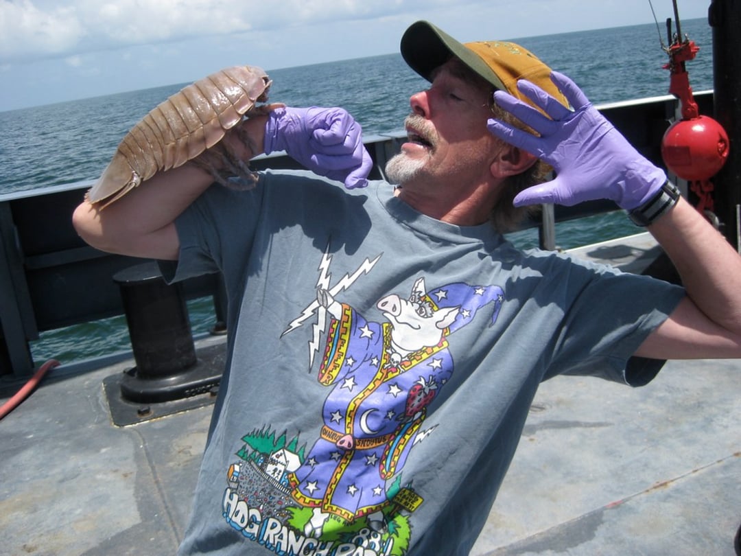 A man wearing purple gloves and a wizard t-shirt leans back in surprise as a large marine isopod is held near his face on a boat, with the ocean and sky in the background.