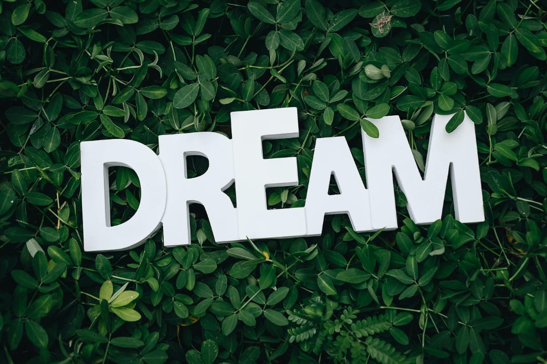 Large white letters spelling "DREAM" are placed on a background of green leafy plants.