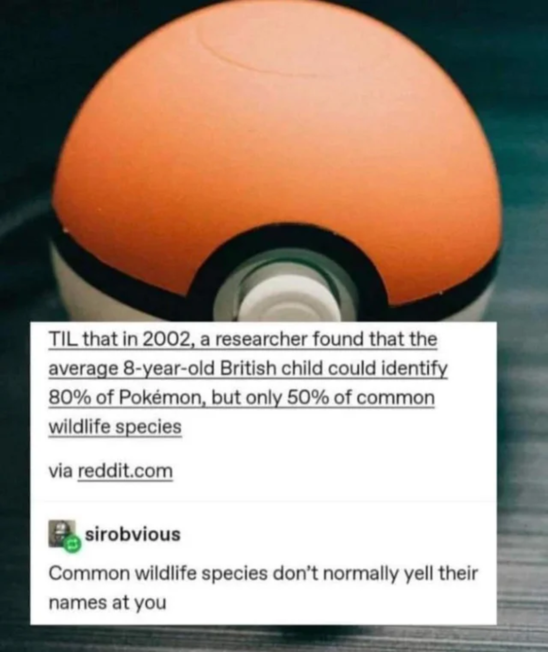 A close-up of a Poké Ball toy with a social media post overlayed, mentioning a study where 8-year-old British children recognized more Pokémon than common wildlife. A comment jokes that wildlife doesn’t yell their names like Pokémon.