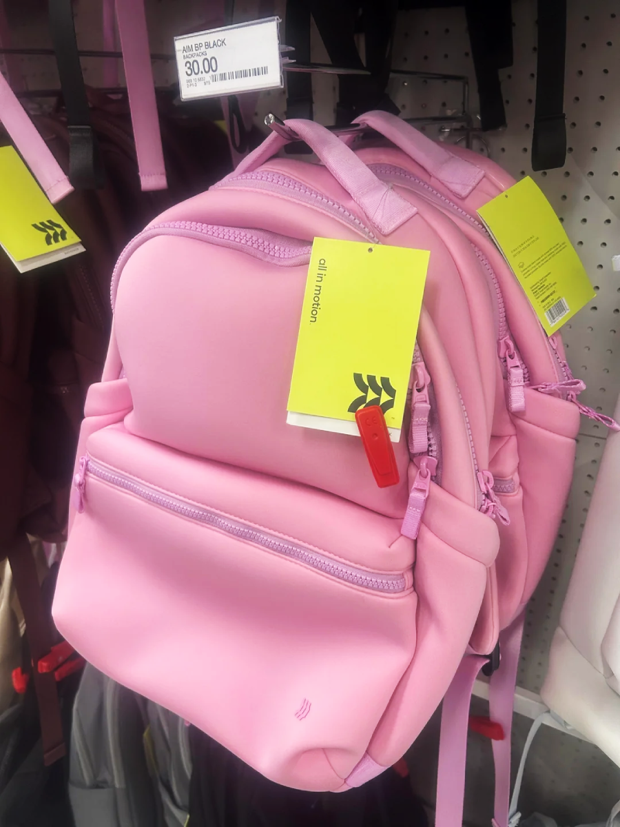 A small pink backpack with multiple zippered compartments and a yellow price tag hangs on a store display. The price tag shows $30, and there is a red security tag attached to the zipper.