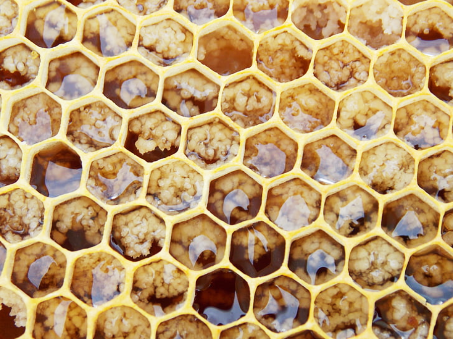 Close-up view of a honeycomb showing hexagonal wax cells filled with golden honey and some capped with white beeswax, creating a textured, natural pattern.