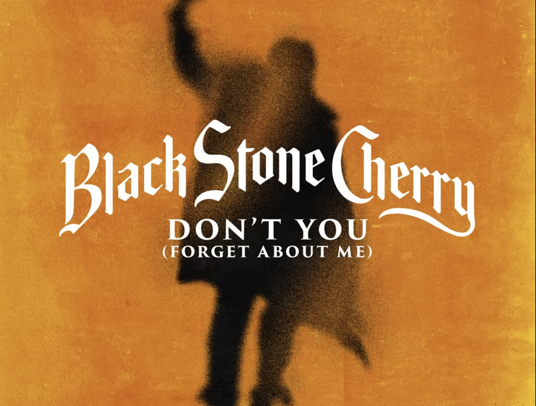 A shadowy figure raises one arm on an orange background. Overlaid text reads "Black Stone Cherry" and below it, "Don't You (Forget About Me)" in white stylized font.