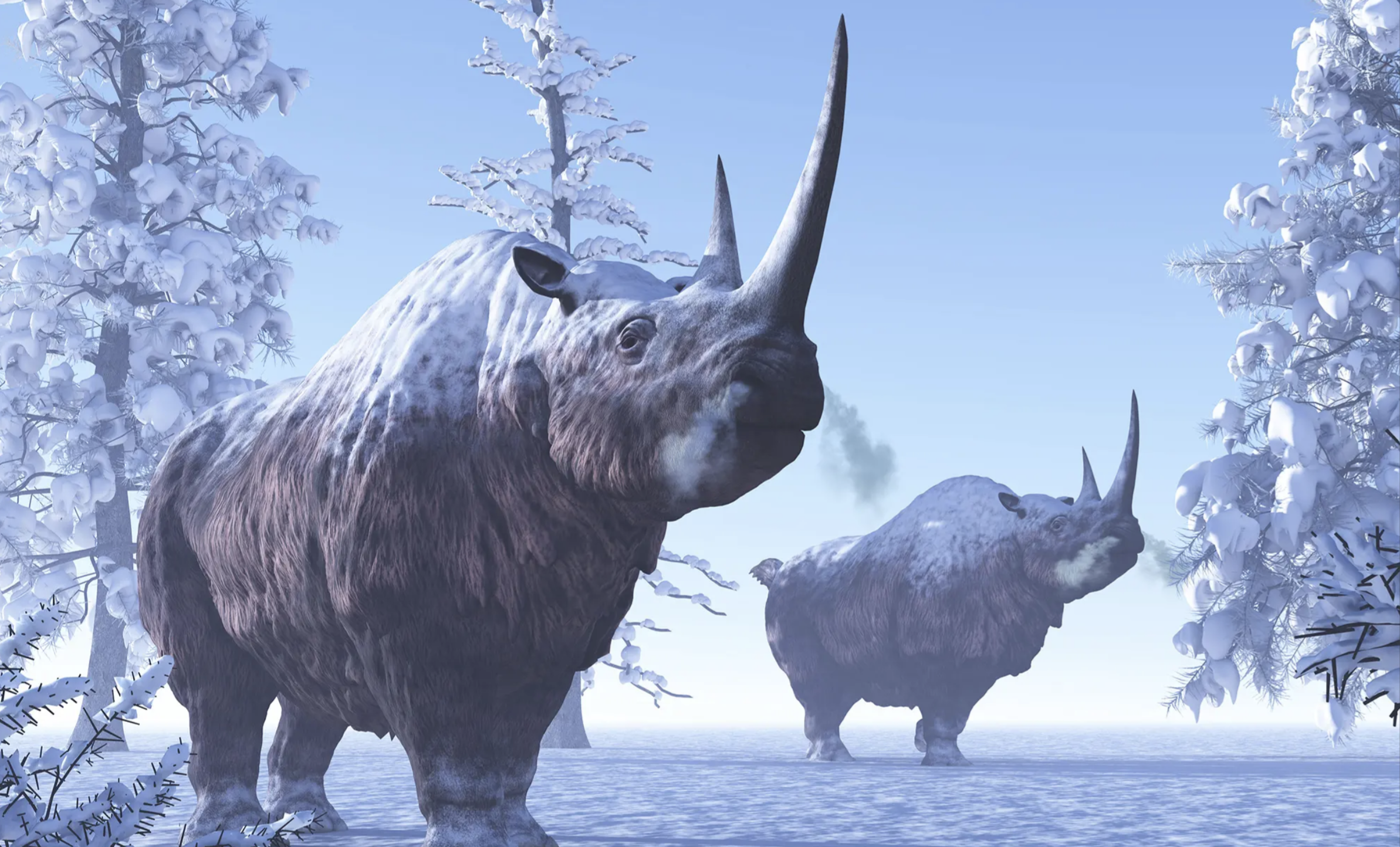 Two woolly rhinoceroses with thick fur and large horns stand in a snowy landscape among frost-covered trees under a clear blue sky.