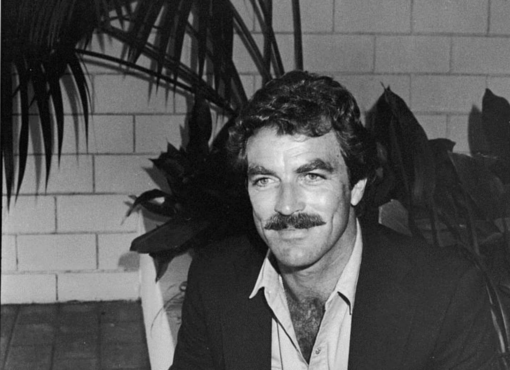 A man with curly hair and a mustache, wearing a suit jacket over an open-collared shirt, sits indoors in front of leafy plants and a brick wall, looking slightly to the side and smiling.
