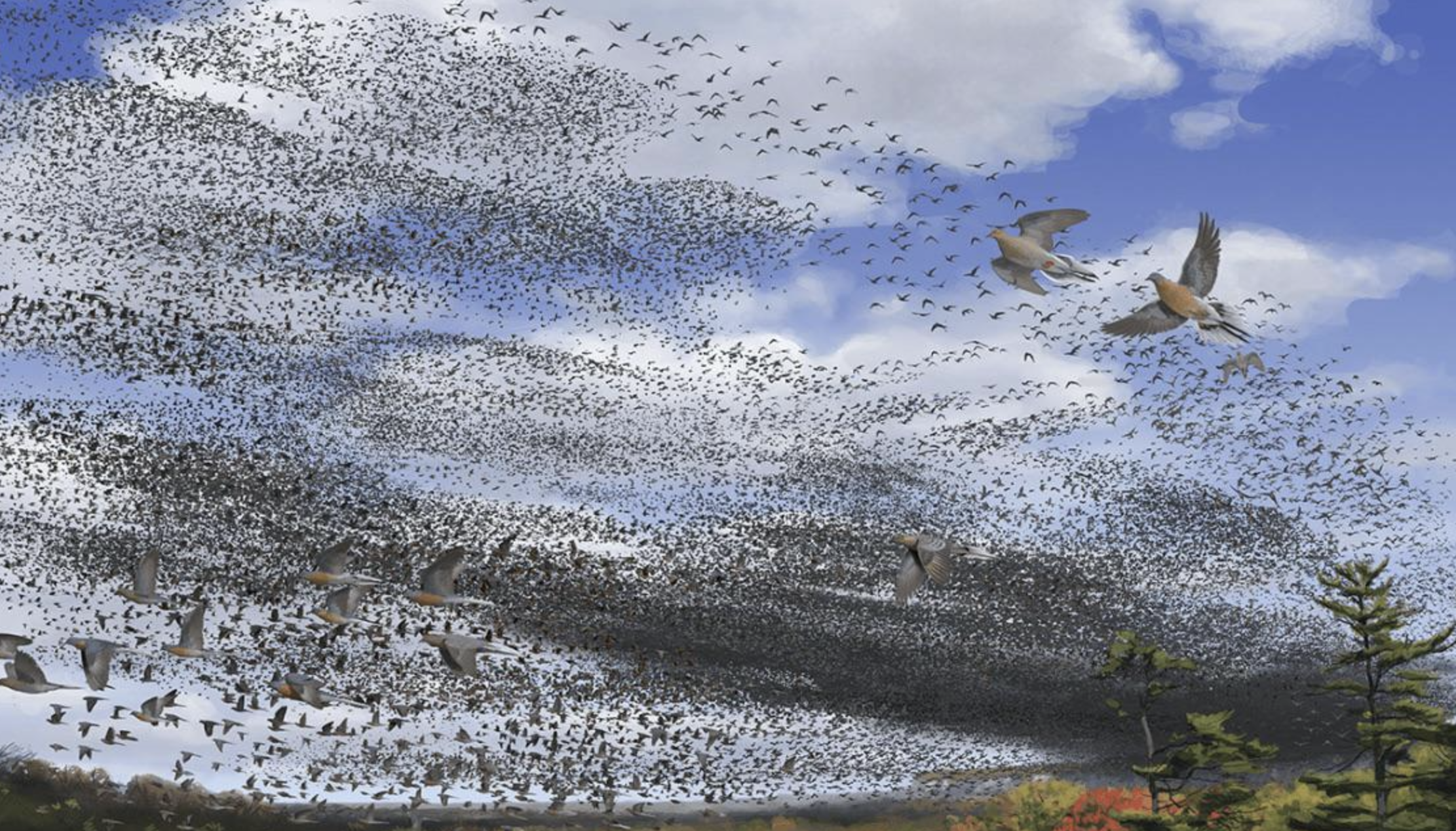 A massive flock of birds fills the sky, creating dark swirling patterns against a backdrop of blue sky and clouds, with trees and colorful foliage visible below.